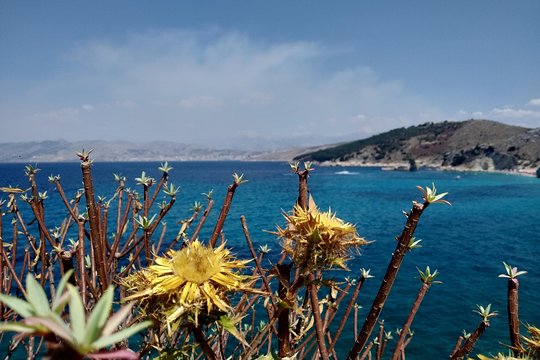 Tour image 5